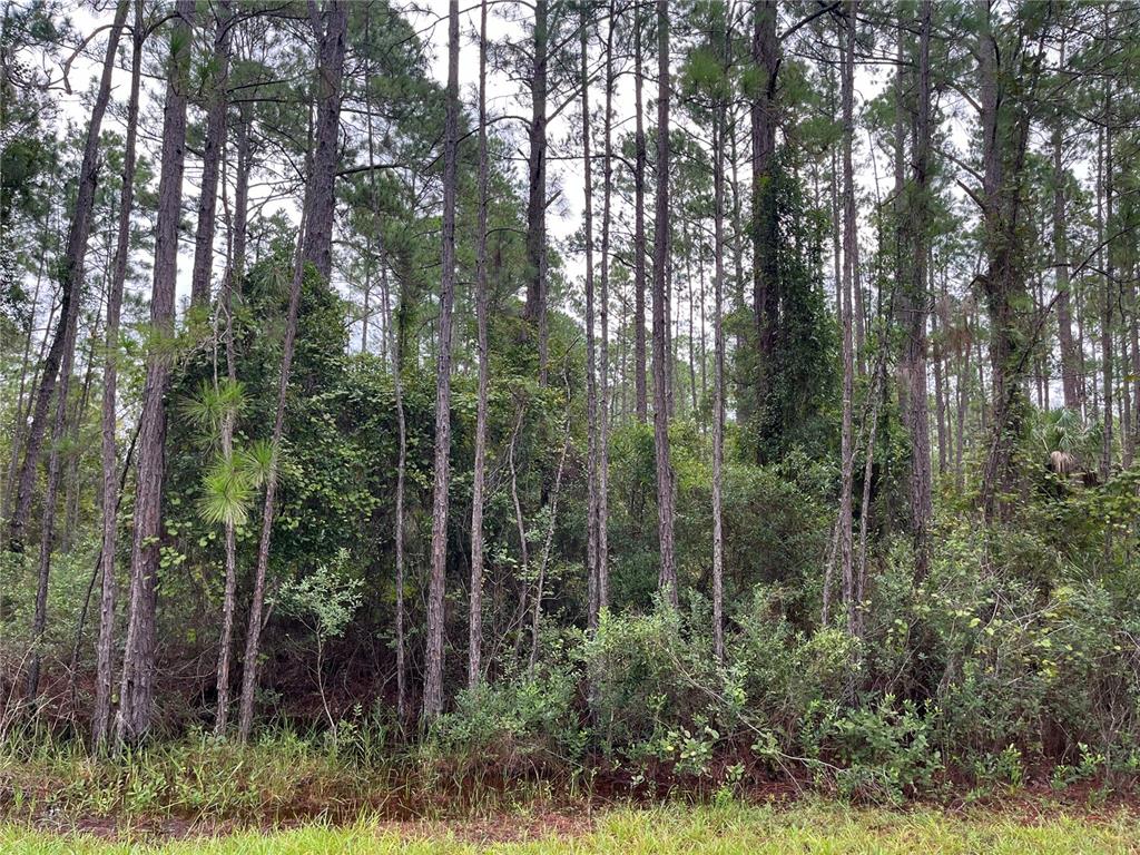 Property for sale at 117 MOSSWOOD STREET, GEORGETOWN, FL, 32139