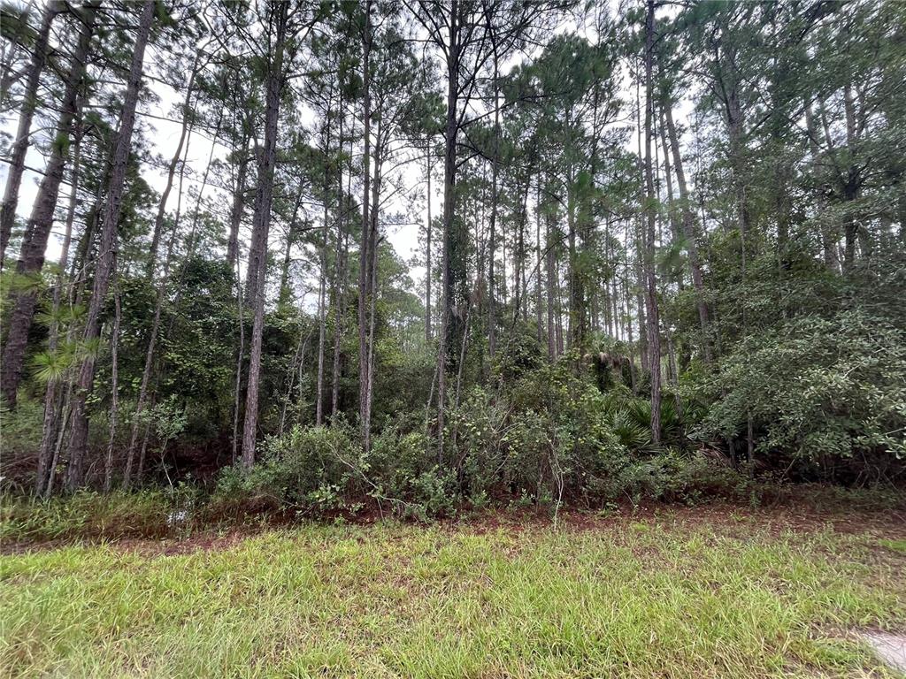Property for sale at 117 MOSSWOOD STREET, GEORGETOWN, FL, 32139