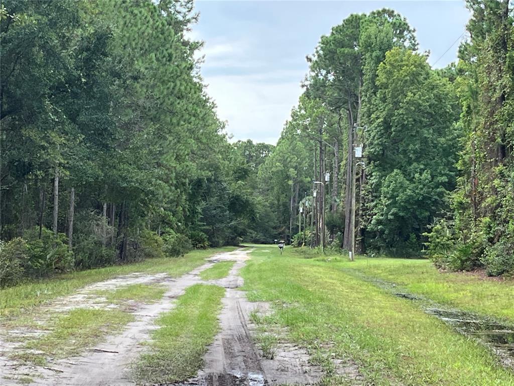 Property for sale at 117 MOSSWOOD STREET, GEORGETOWN, FL, 32139