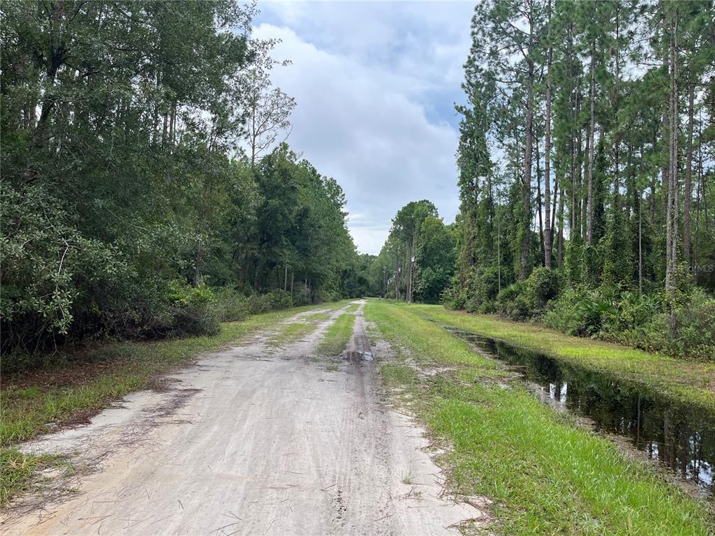 Property for sale at 117 MOSSWOOD STREET, GEORGETOWN, FL, 32139
