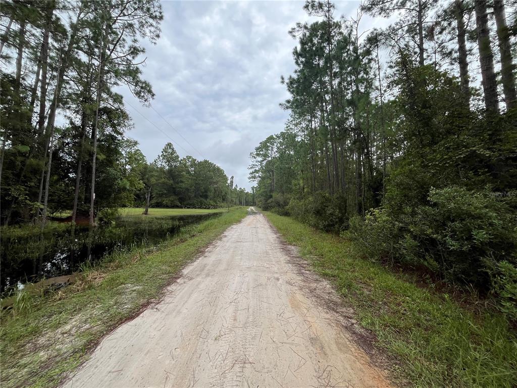 Property for sale at 117 MOSSWOOD STREET, GEORGETOWN, FL, 32139
