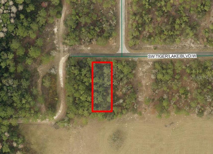 Property for sale at 0 SW TIGER LAKE BOULEVARD, DUNNELLON, FL, 34432
