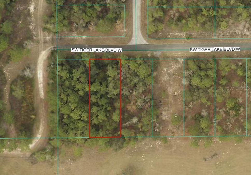 Property for sale at 0 SW TIGER LAKE BOULEVARD, DUNNELLON, FL, 34432