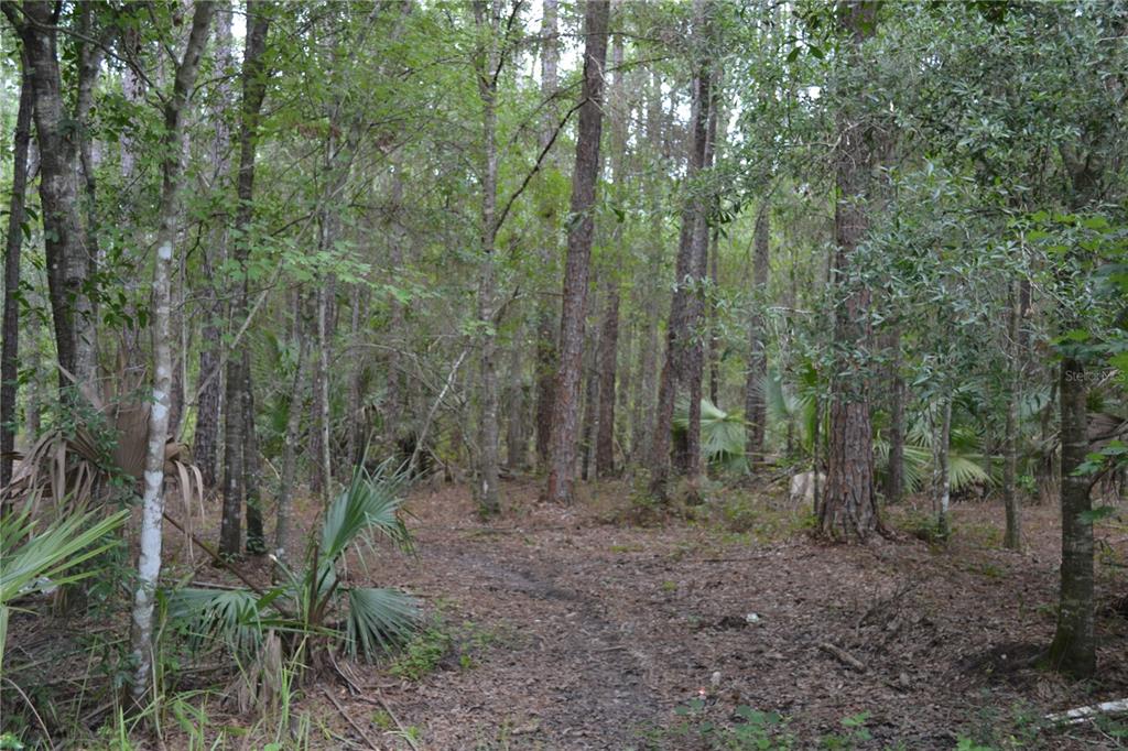 Property for sale at DEEN STILL ROAD W, POLK CITY, FL, 33868