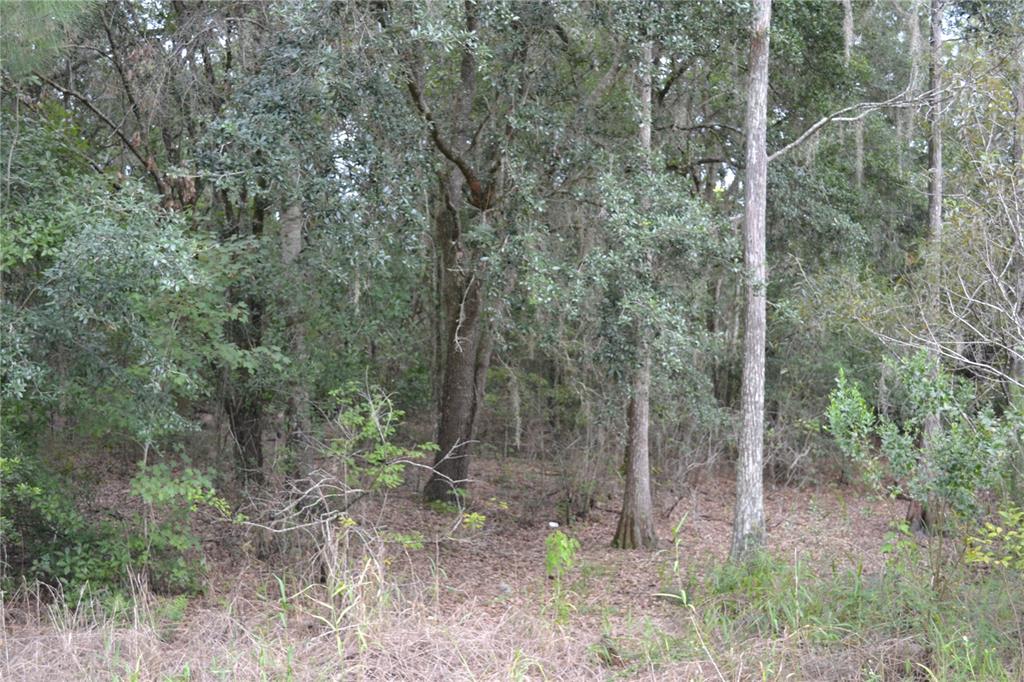 Property for sale at DEEN STILL ROAD W, POLK CITY, FL, 33868