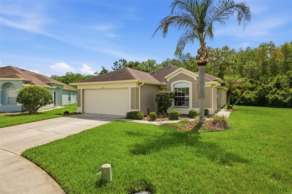 Property for sale at 5600 SIR BARTON COURT, WESLEY CHAPEL, FL, 33544