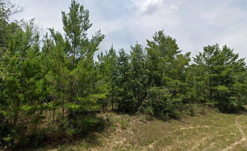Property for sale at HAMPSHIRE BOULEVARD, CHIPLEY, FL, 32428