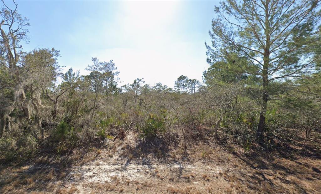 Property for sale at 3235 N DAHLIA DRIVE, LAKE PLACID, FL, 33852
