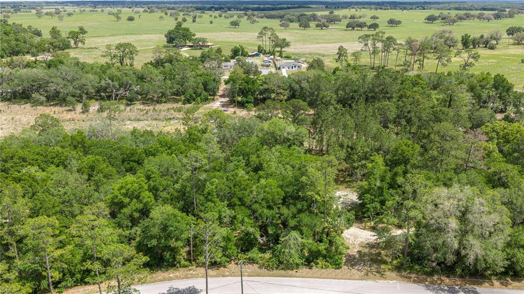 Property for sale at TBD SW SHOREWOOD DRIVE, DUNNELLON, FL, 34431