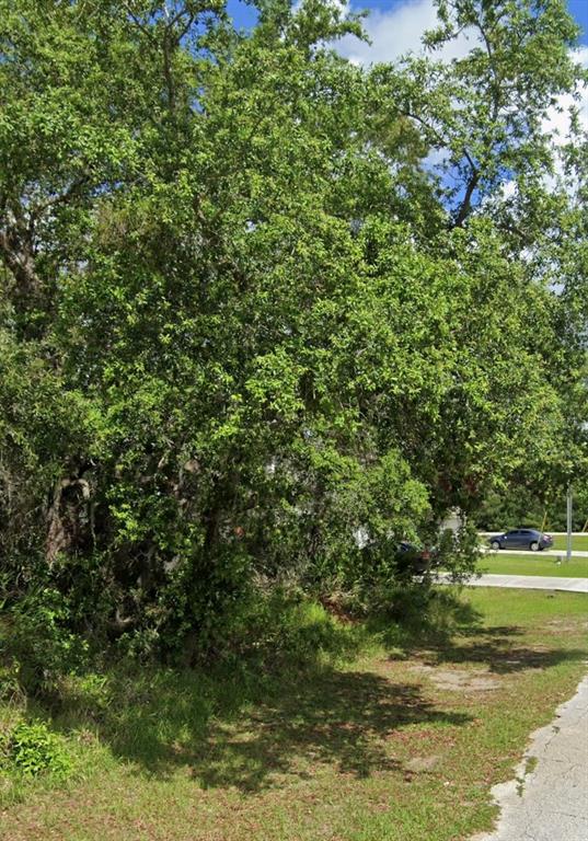 Property for sale at 1504 ELOISE COURT, KISSIMMEE, FL, 34759