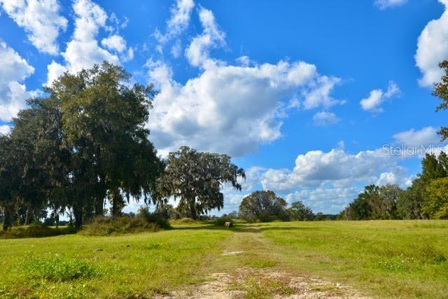 Property for sale at 11750 SE 22ND AVE ROAD, OCALA, FL, 34473