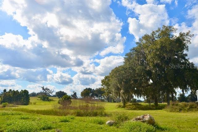 Property for sale at 11750 SE 22ND AVE ROAD, OCALA, FL, 34473