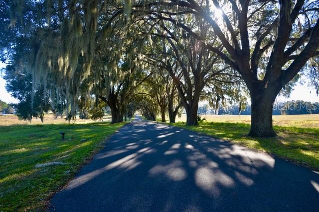 Property for sale at 11750 SE 22ND AVE ROAD, OCALA, FL, 34473