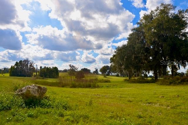 Property for sale at 11750 SE 22ND AVE ROAD, OCALA, FL, 34473