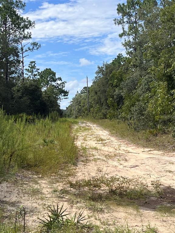 Dirt Road