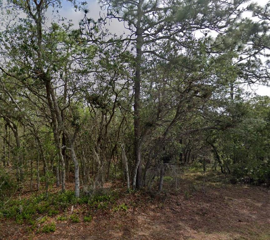 Property for sale at 10 MILBARK DRIVE, HOMOSASSA, FL, 34446