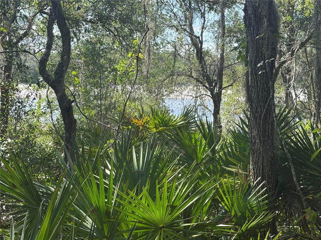 Property for sale at TBD MALAUKA PASS TRAIL, OCKLAWAHA, FL, 32179