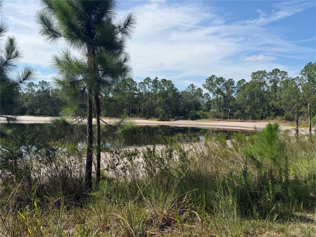 Property for sale at TBD MALAUKA PASS TRAIL, OCKLAWAHA, FL, 32179