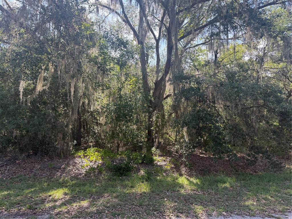 Property for sale at TBD MALAUKA PASS TRAIL, OCKLAWAHA, FL, 32179