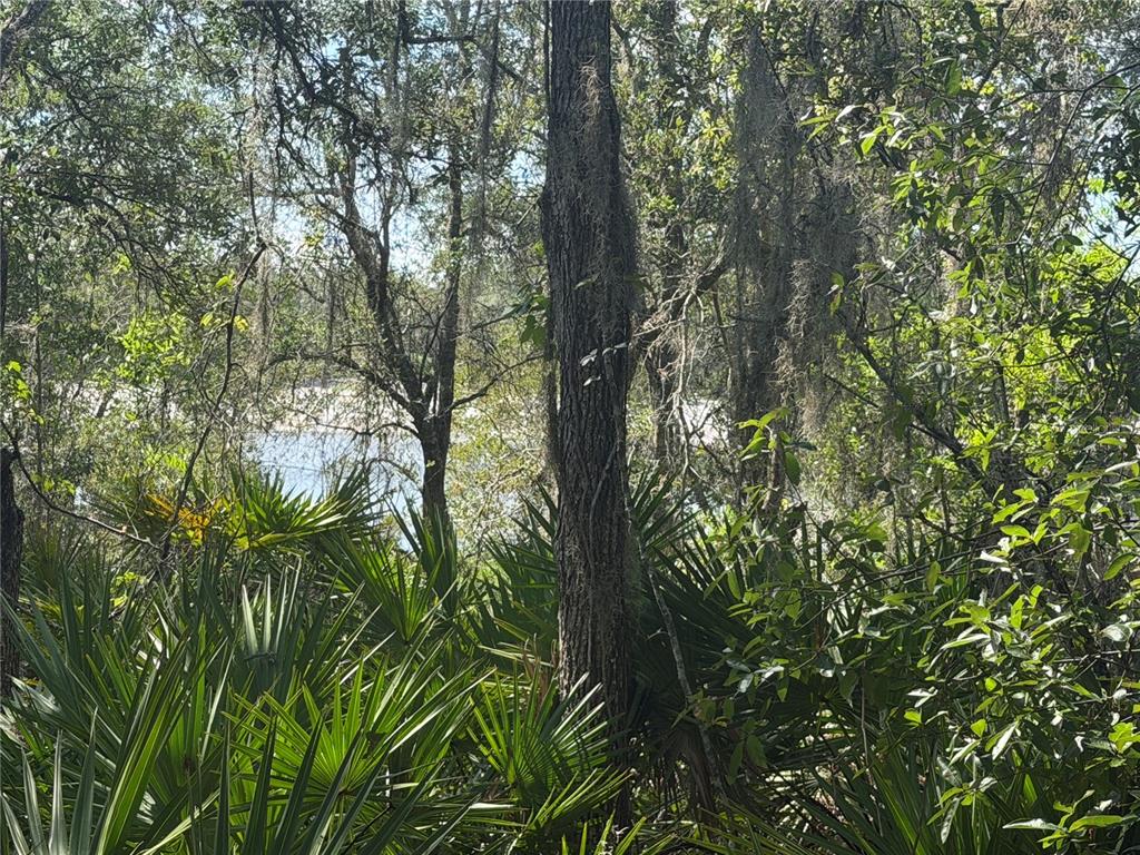 Property for sale at TBD MALAUKA PASS TRAIL, OCKLAWAHA, FL, 32179