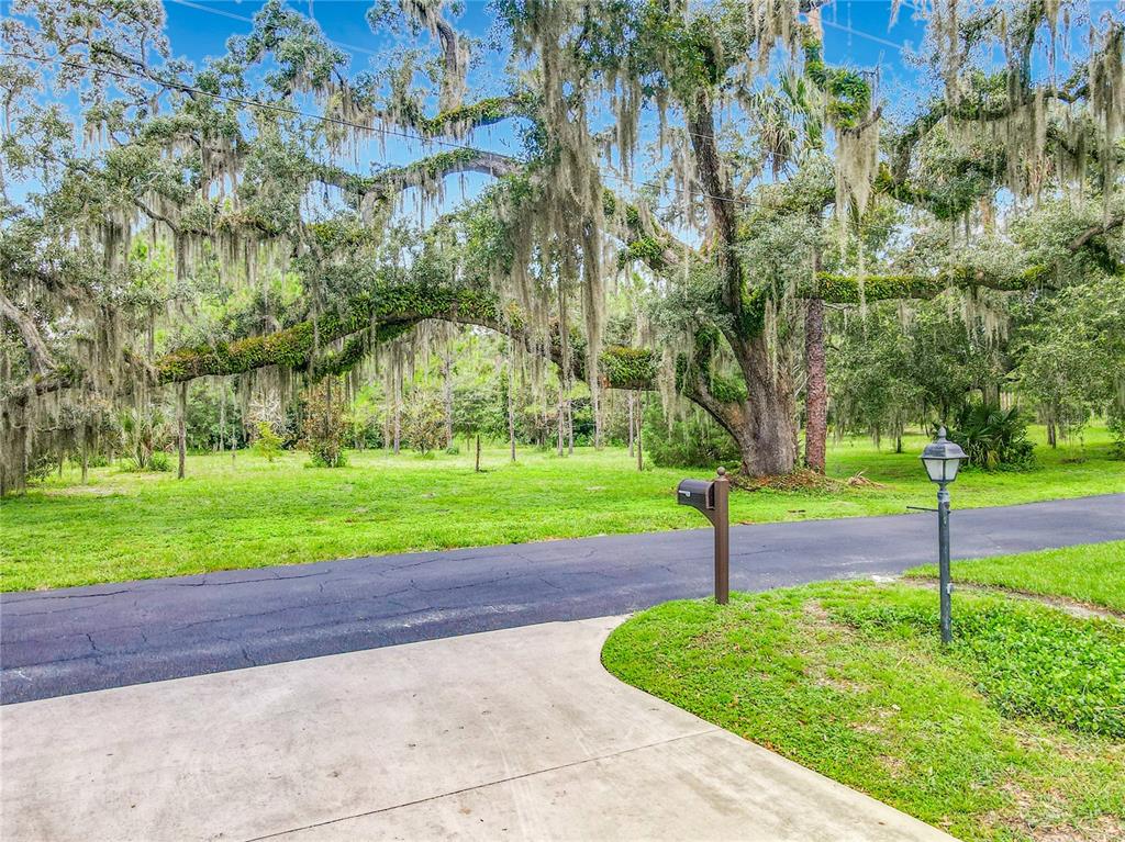 front yard greenspace views. beautiful live oak trees.