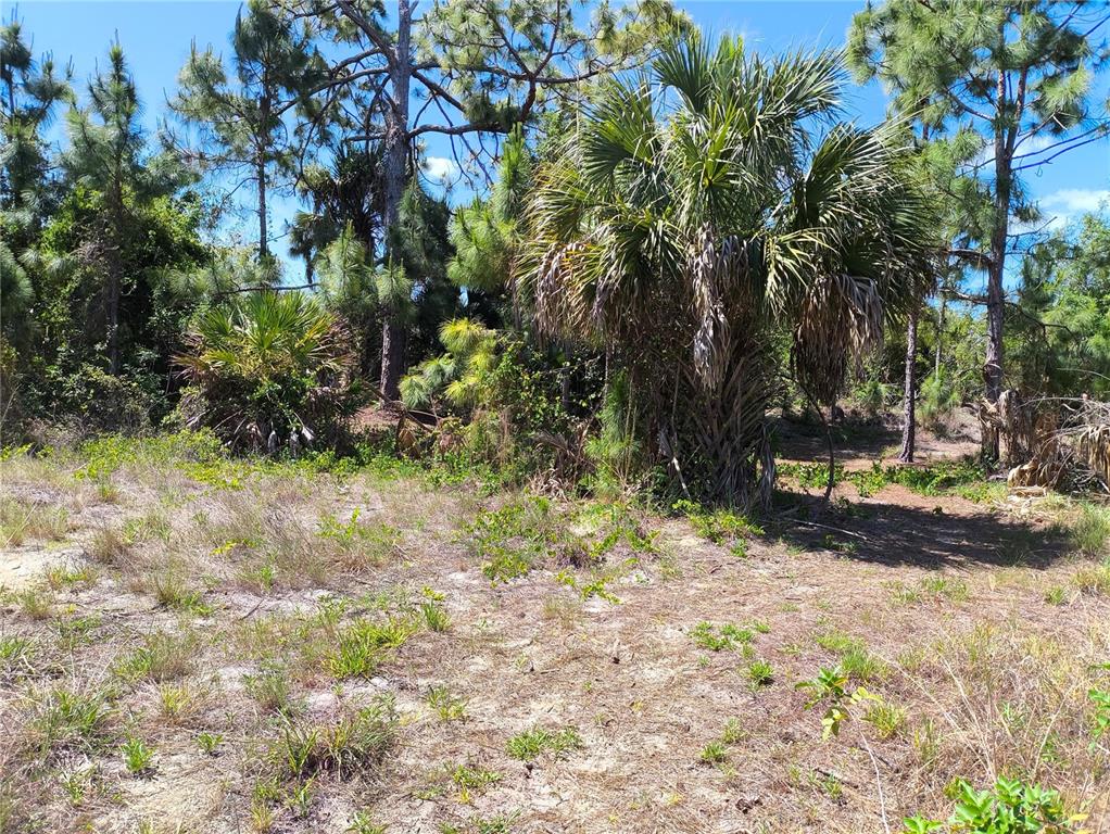 Property for sale at 12289 CLARENDON AVENUE, PORT CHARLOTTE, FL, 33981