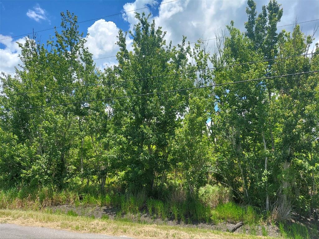 Property for sale at 5410 BOB SMITH AVENUE, PLANT CITY, FL, 33565