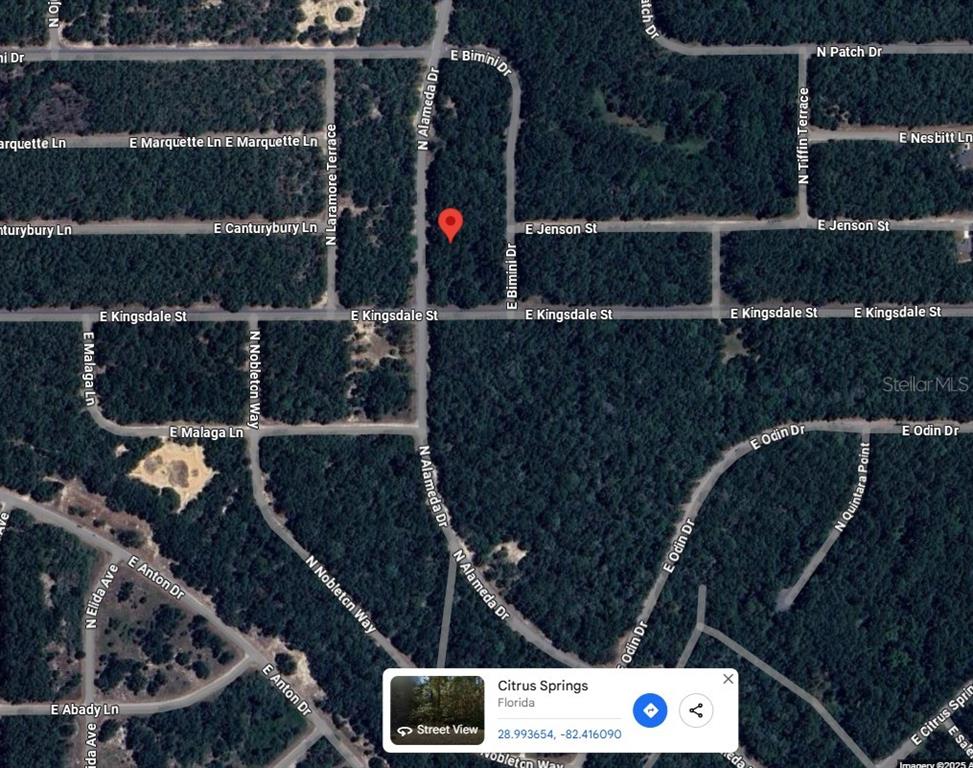 Property for sale at 9085 N ALAMEDA DRIVE, CITRUS SPRINGS, FL, 34434