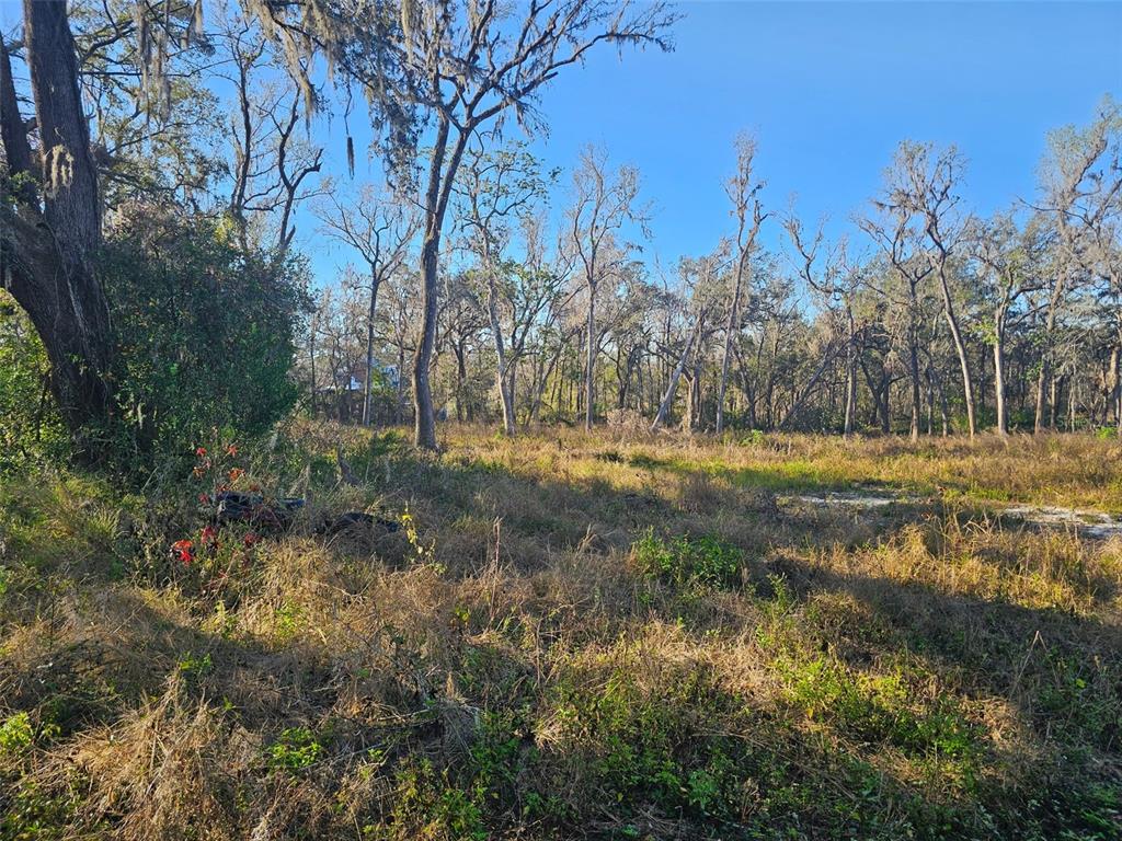 Property for sale at 359 SAVANNAH OAKS DRIVE, BROOKSVILLE, FL, 34602