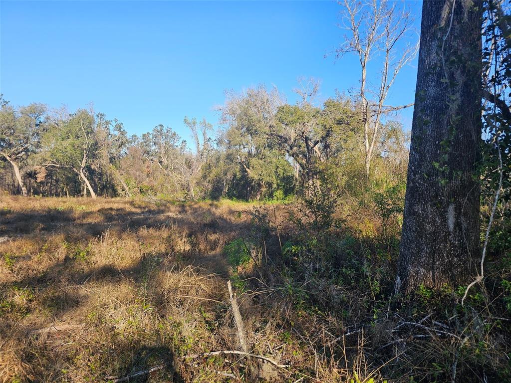 Property for sale at 359 SAVANNAH OAKS DRIVE, BROOKSVILLE, FL, 34602
