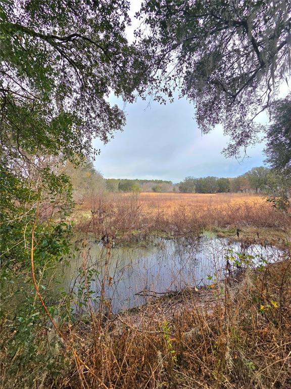 Property for sale at 359 SAVANNAH OAKS DRIVE, BROOKSVILLE, FL, 34602