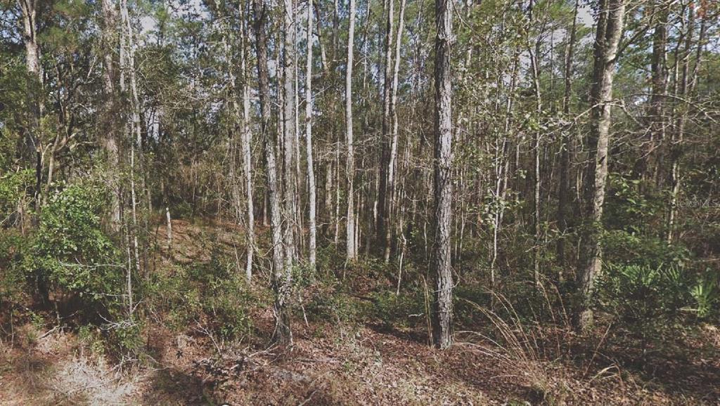 Property for sale at 130 SE 5TH STREET, PALATKA, FL, 32177