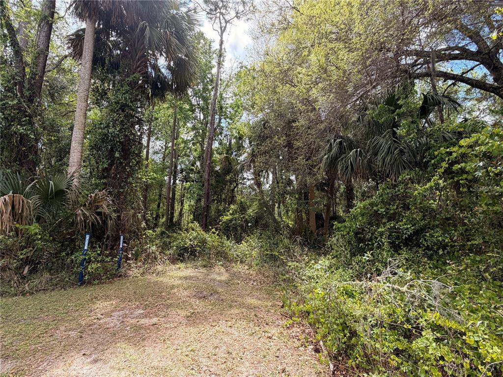 Property for sale at COUNTY ROAD 445A, ASTOR, FL, 32102