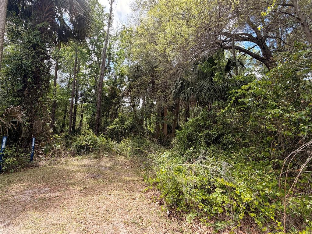 Property for sale at COUNTY ROAD 445A, ASTOR, FL, 32102