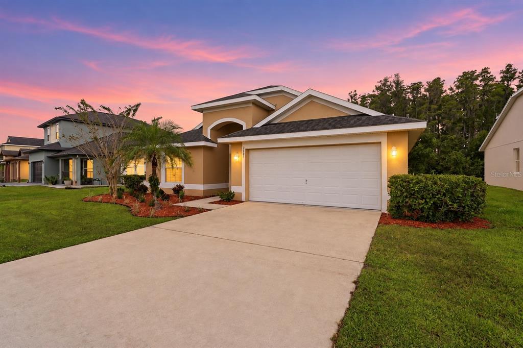 Enhanced Sky & Lights Exterior