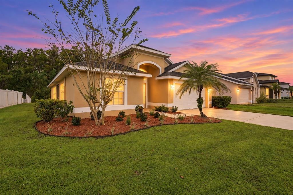 Enhanced Sky & Lights Exterior