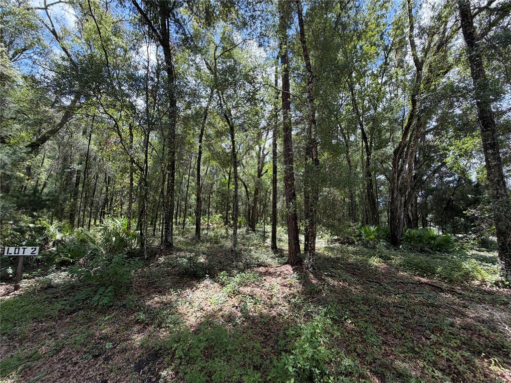 Property for sale at TBD SW 170TH STREET, ARCHER, FL, 32618