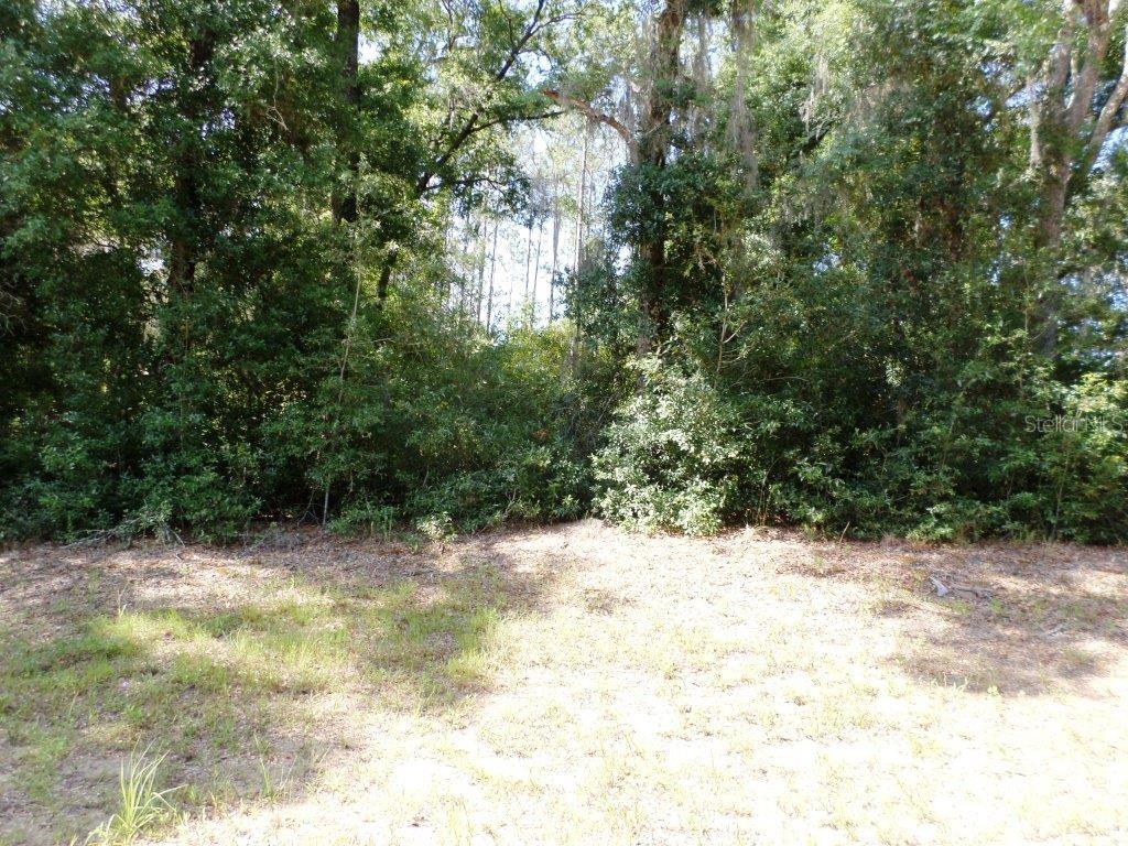Property for sale at 796 W LIGHTWOOD ST, CITRUS SPRINGS, FL, 34434