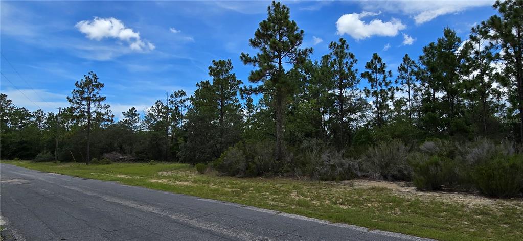 Property for sale at 2899 W SANTANA DRIVE, CITRUS SPRINGS, FL, 34433