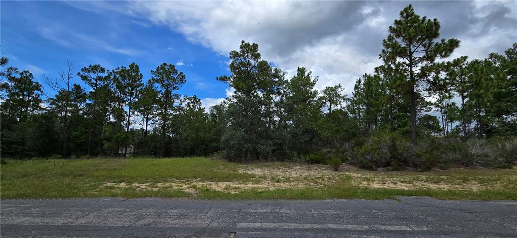 Property for sale at 2899 W SANTANA DRIVE, CITRUS SPRINGS, FL, 34433