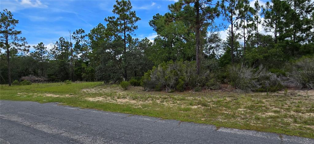 Property for sale at 2899 W SANTANA DRIVE, CITRUS SPRINGS, FL, 34433