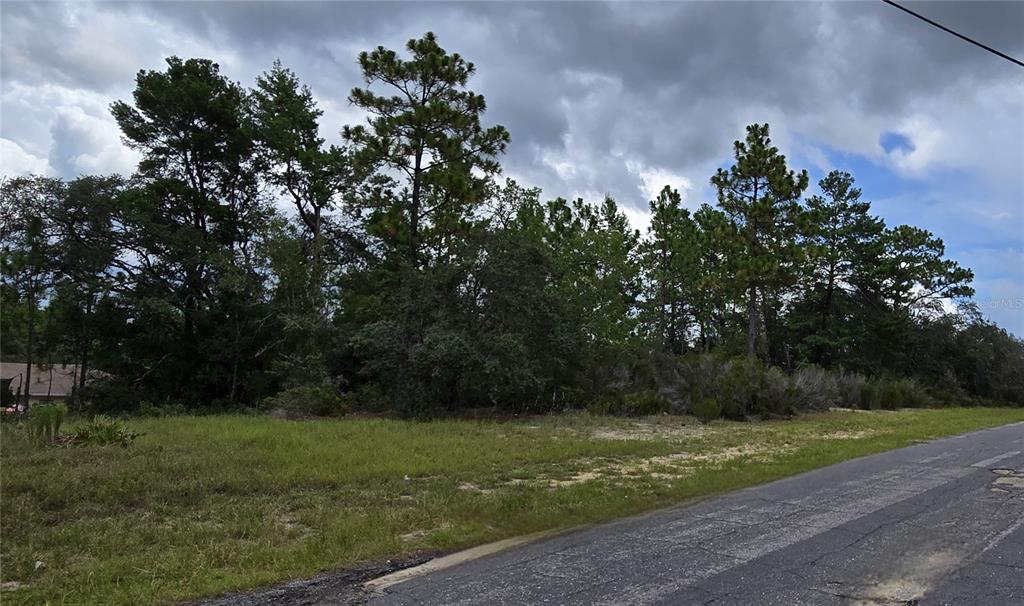 Property for sale at 2899 W SANTANA DRIVE, CITRUS SPRINGS, FL, 34433