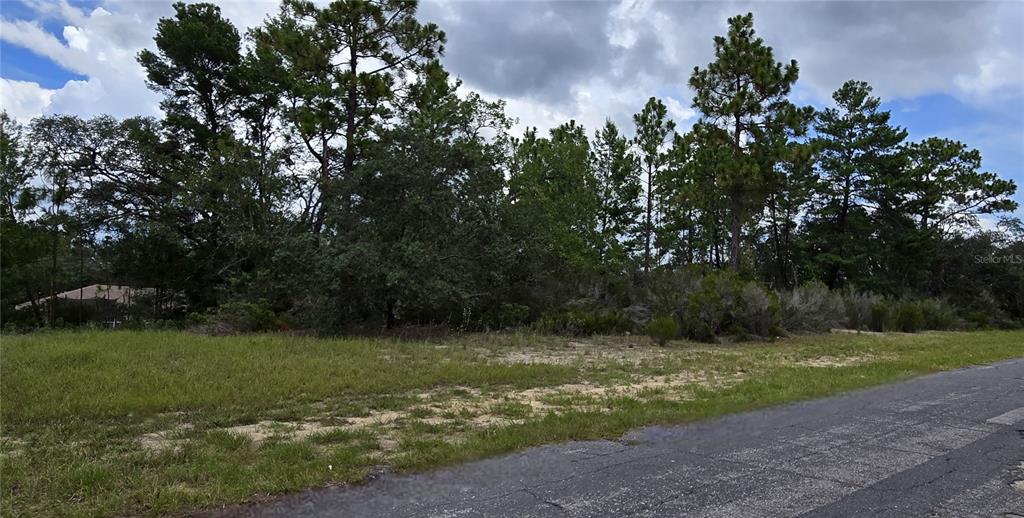 Property for sale at 2899 W SANTANA DRIVE, CITRUS SPRINGS, FL, 34433