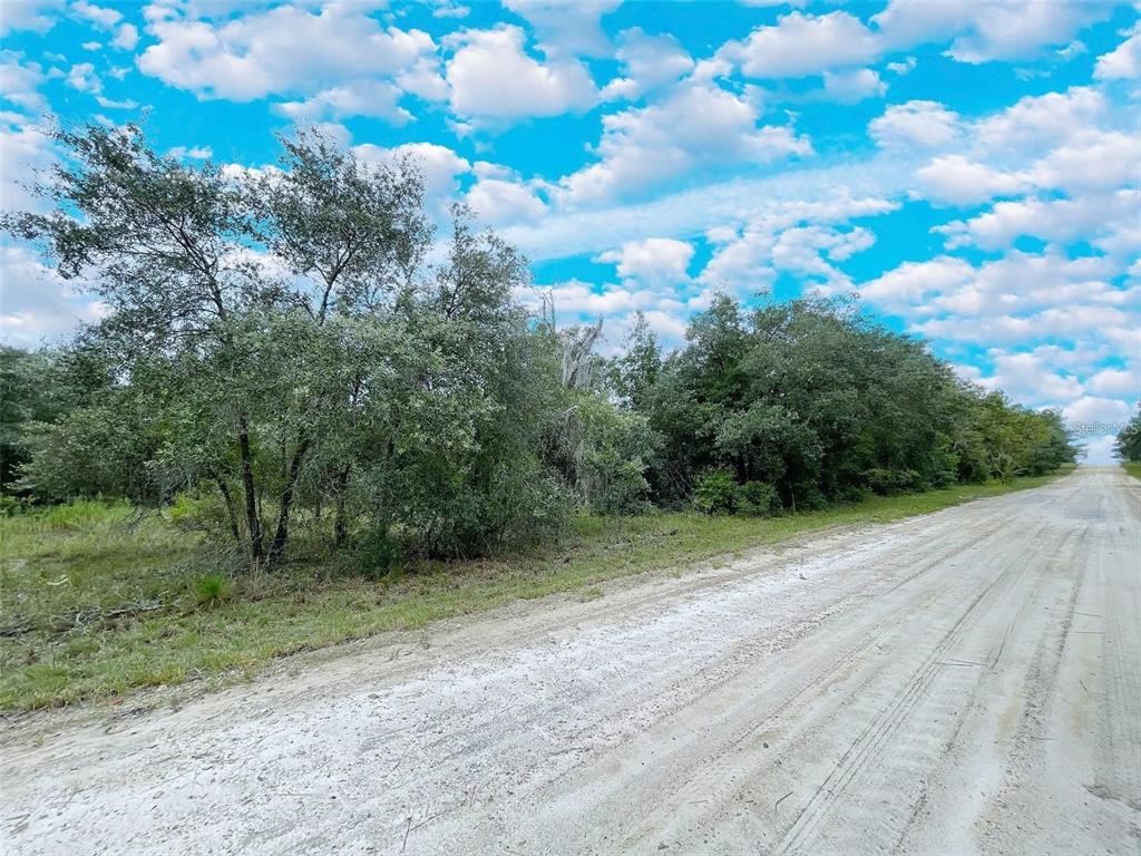 Property for sale at 14250 SE 2ND STREET, WILLISTON, FL, 32696