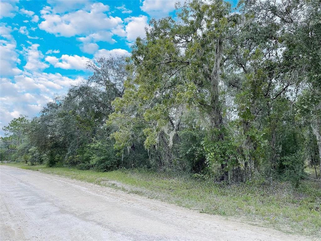 Property for sale at 14250 SE 2ND STREET, WILLISTON, FL, 32696