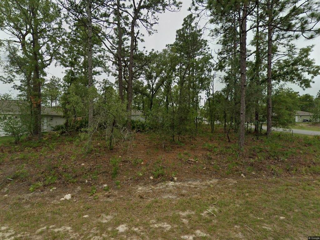 Property for sale at 2084 W RILEY DRIVE, CITRUS SPRINGS, FL, 34434