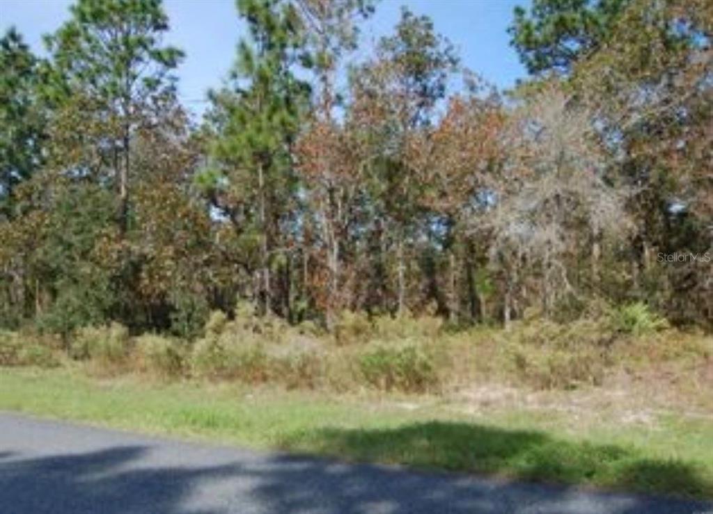 Property for sale at 2084 W RILEY DRIVE, CITRUS SPRINGS, FL, 34434