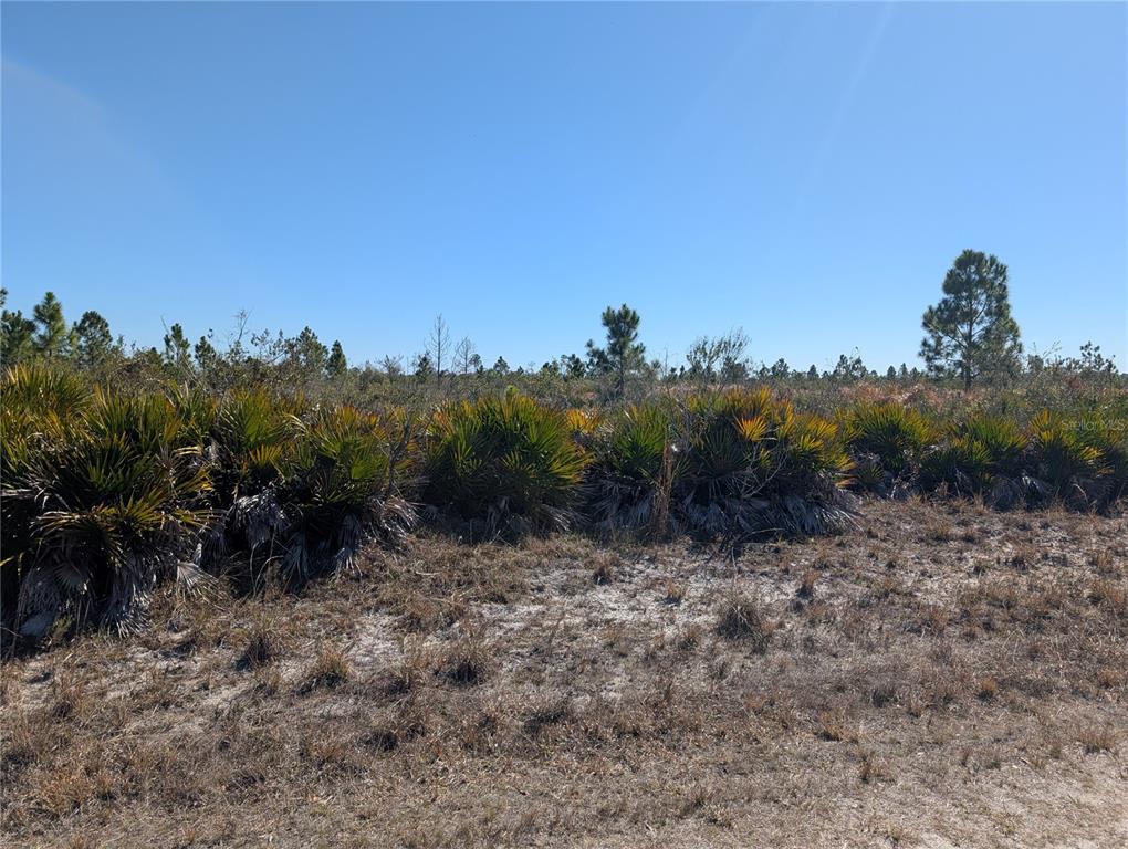 Property for sale at 1211 PINNATA DRIVE, INDIAN LAKE ESTATES, FL, 33855