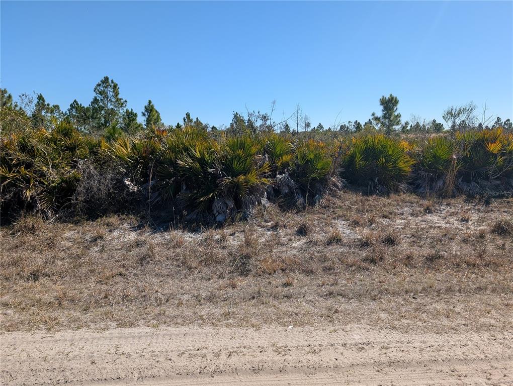 Property for sale at 1211 PINNATA DRIVE, INDIAN LAKE ESTATES, FL, 33855