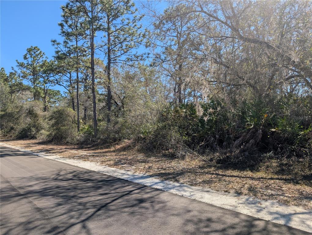 Property for sale at 1211 PINNATA DRIVE, INDIAN LAKE ESTATES, FL, 33855